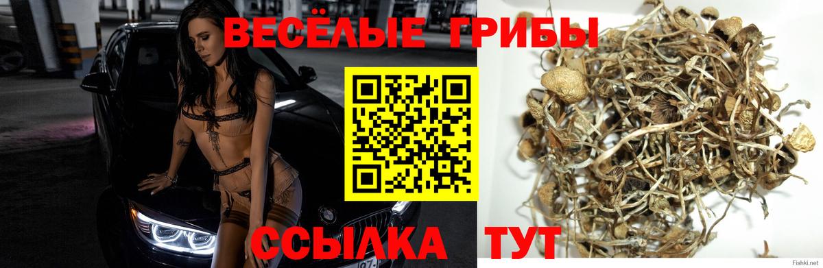 Галлюциногенные грибы ЛСД  Вход с VPN  Десногорск 
